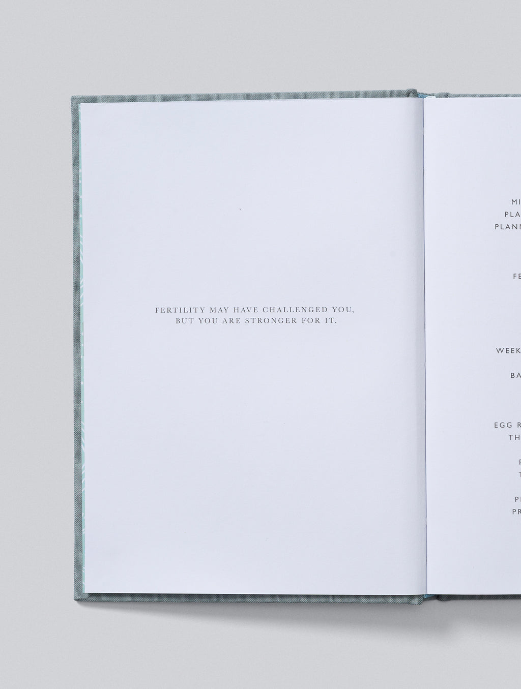 Write To Me - IVF Journal - Grey