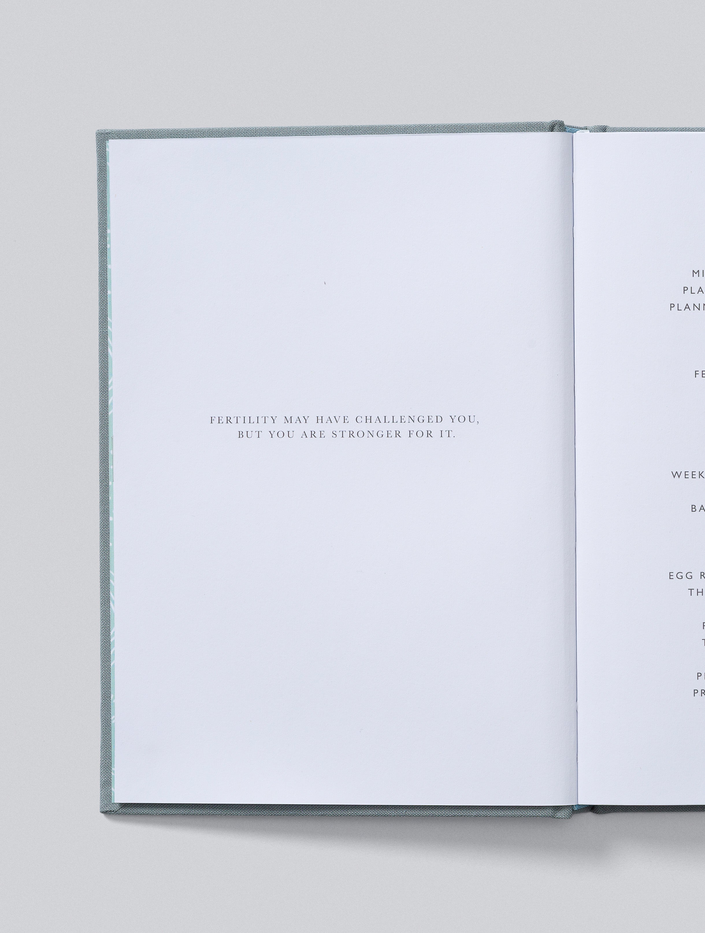 Write To Me - IVF Journal - Grey
