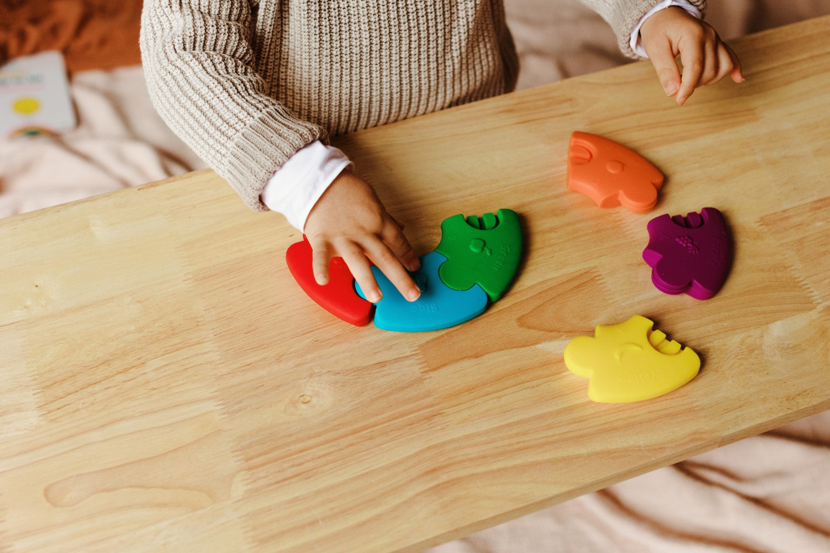 Rainbow Colour Wheel | Bright