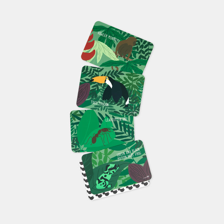 Snap and Memory Game - Jungle