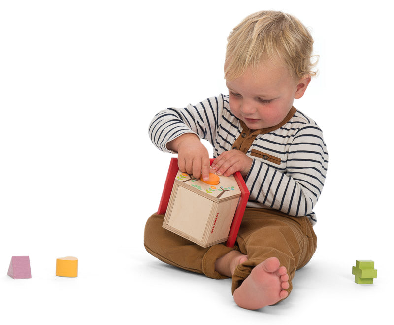 My Little Birdhouse Shape Sorter