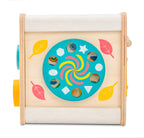 Petit Activity Cube