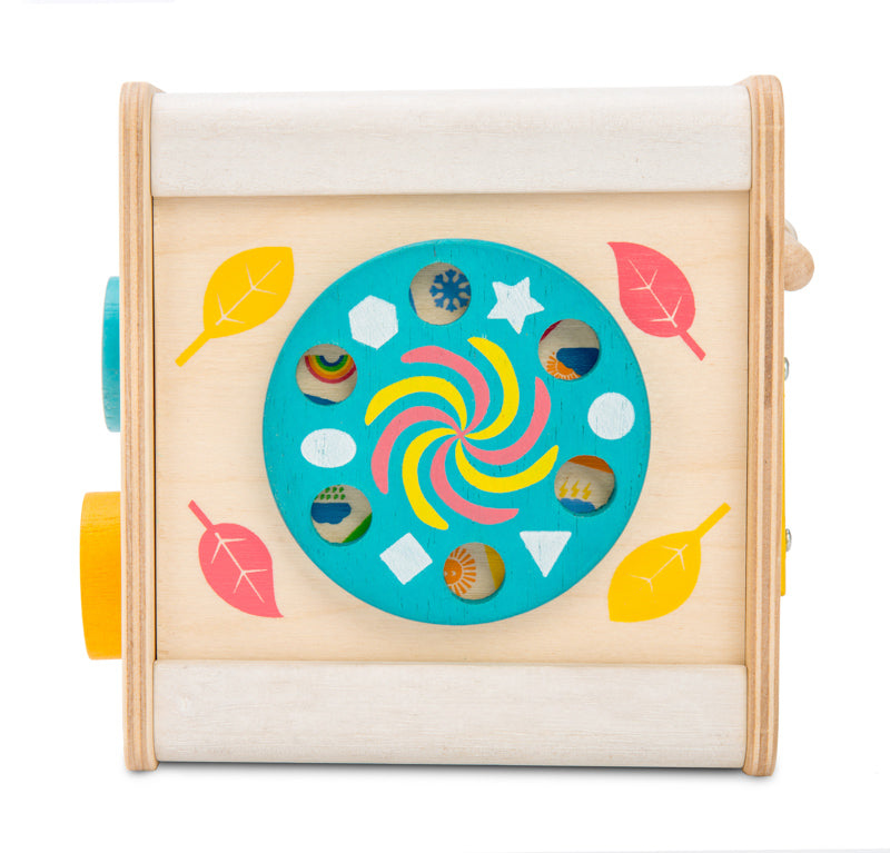 Petit Activity Cube