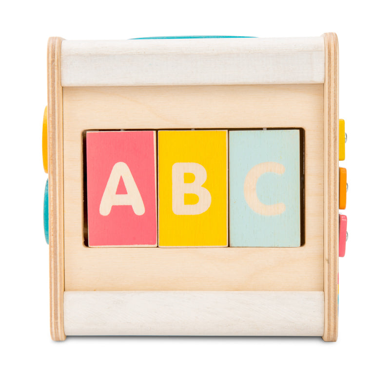 Petit Activity Cube