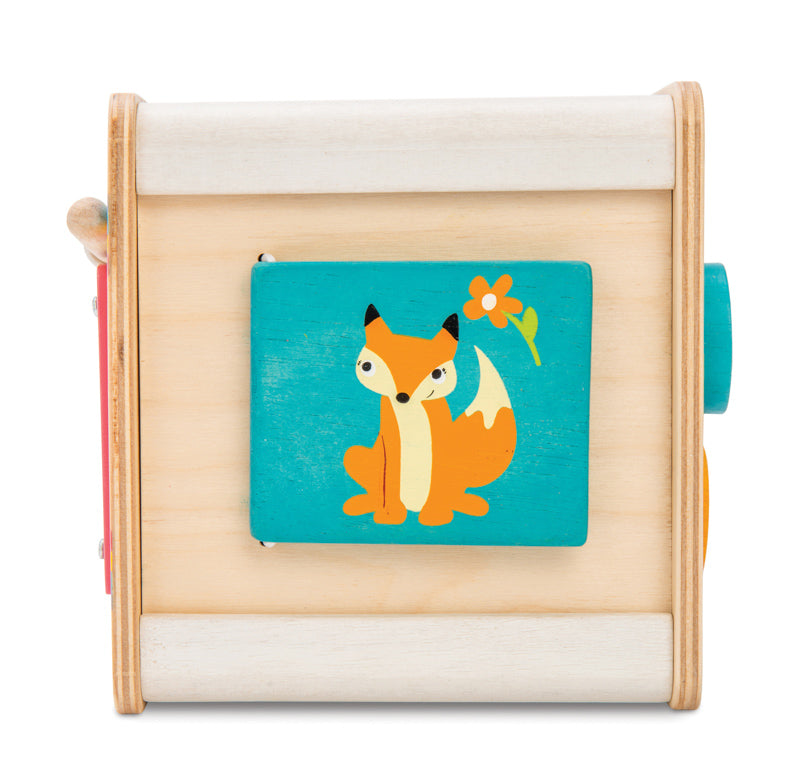 Petit Activity Cube