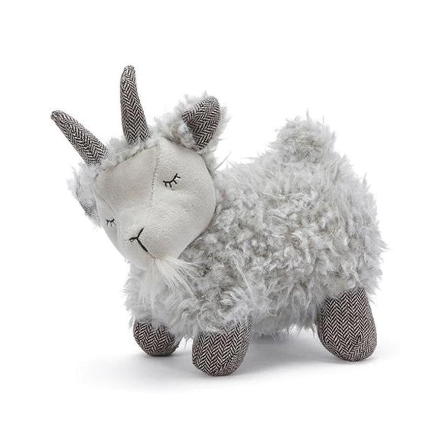 Lil Gus the Goat