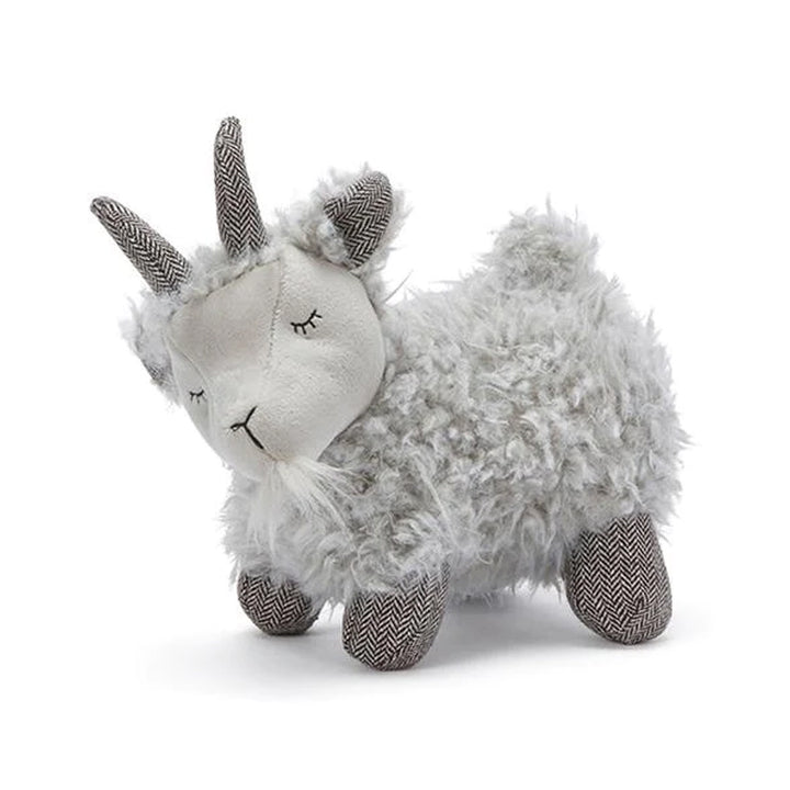 Lil Gus the Goat