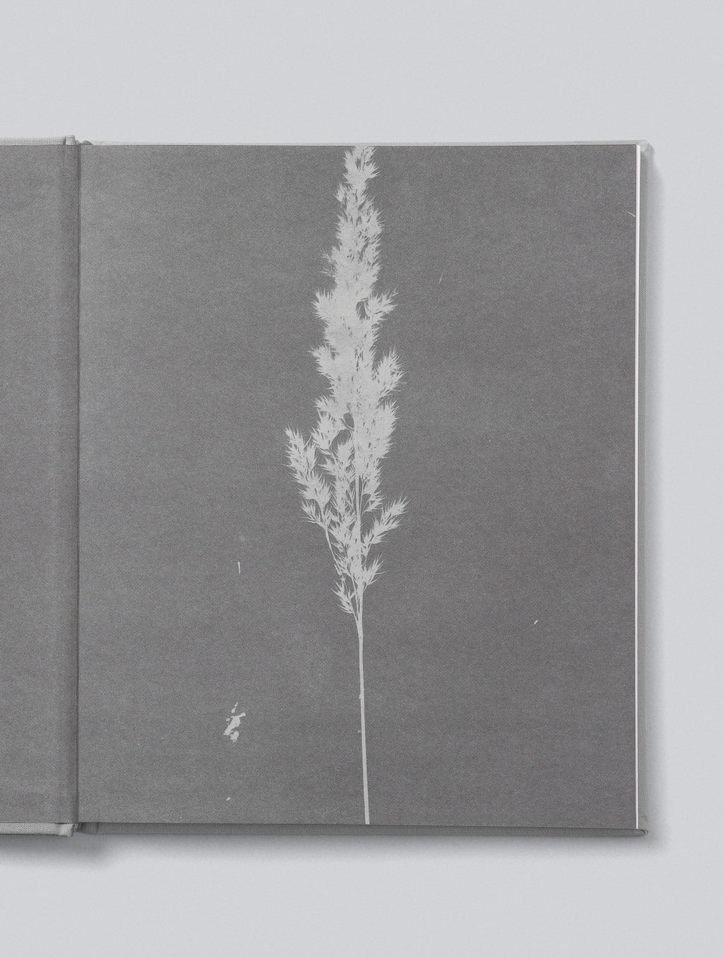 Write To Me - Mama Tell Me About it - Maroon