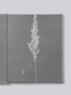 Write To Me - Mama Tell Me About it - Maroon