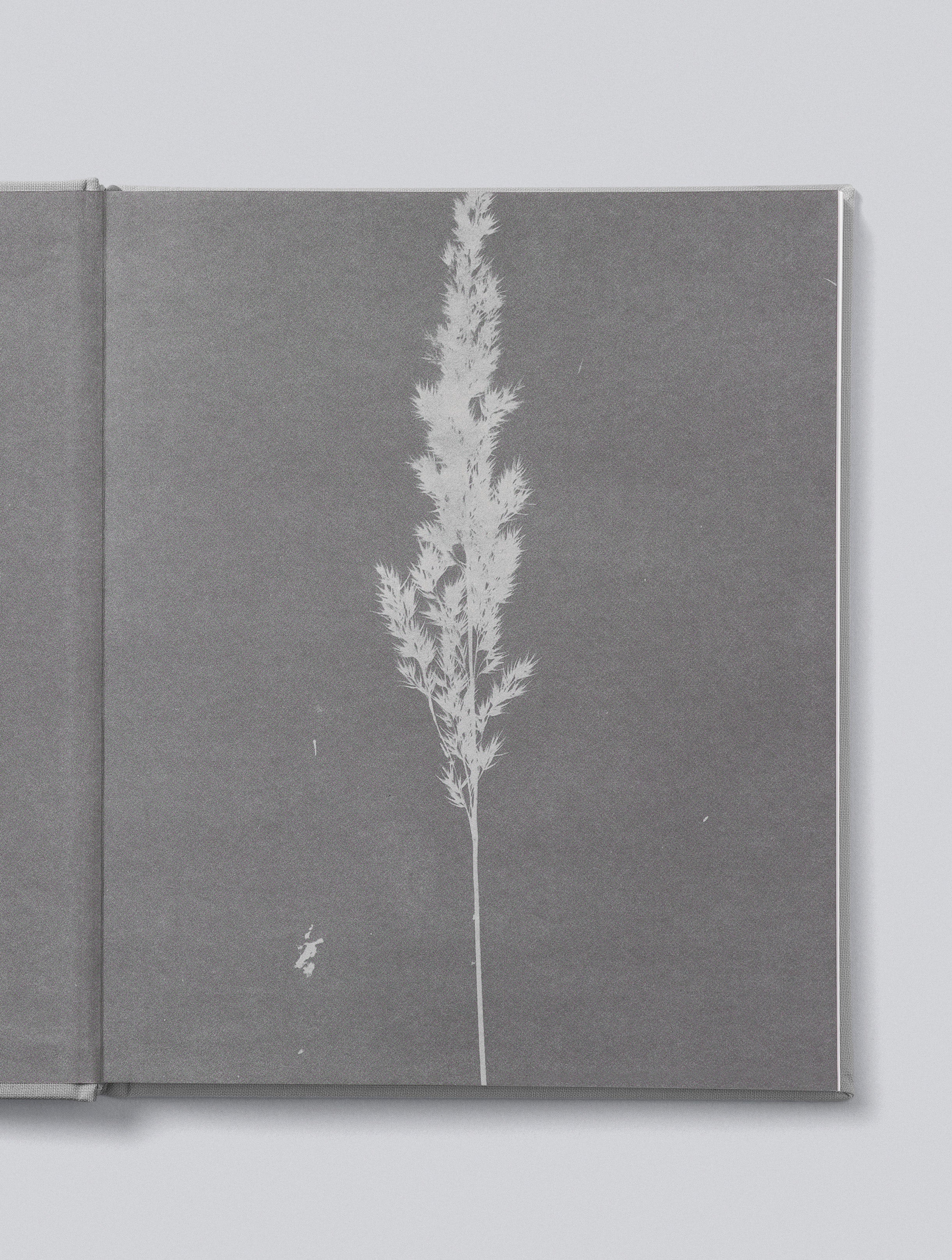 Write To Me - Mama Tell Me About it - Maroon