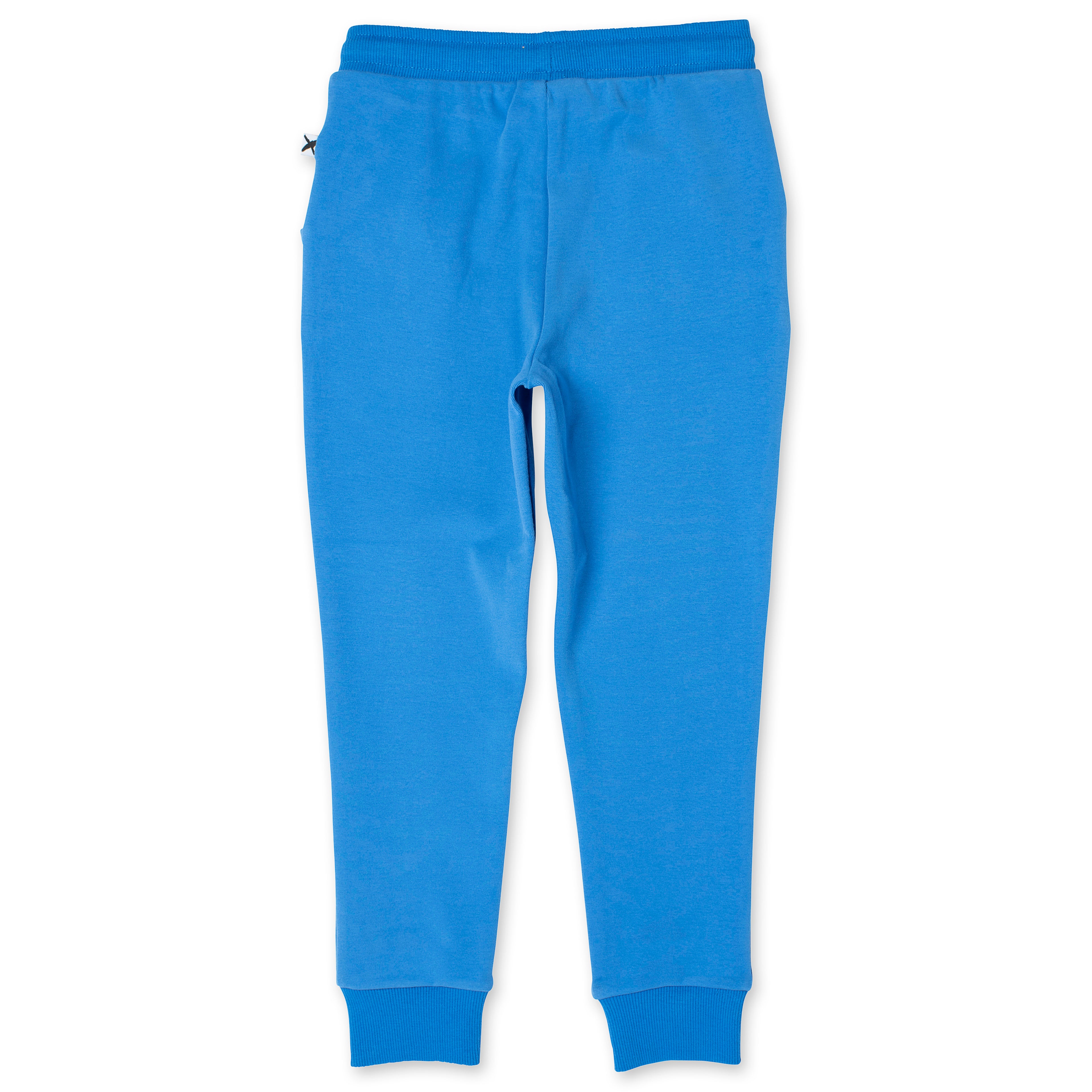 Minti Skate Hedgehog Trackies - Bright Blue