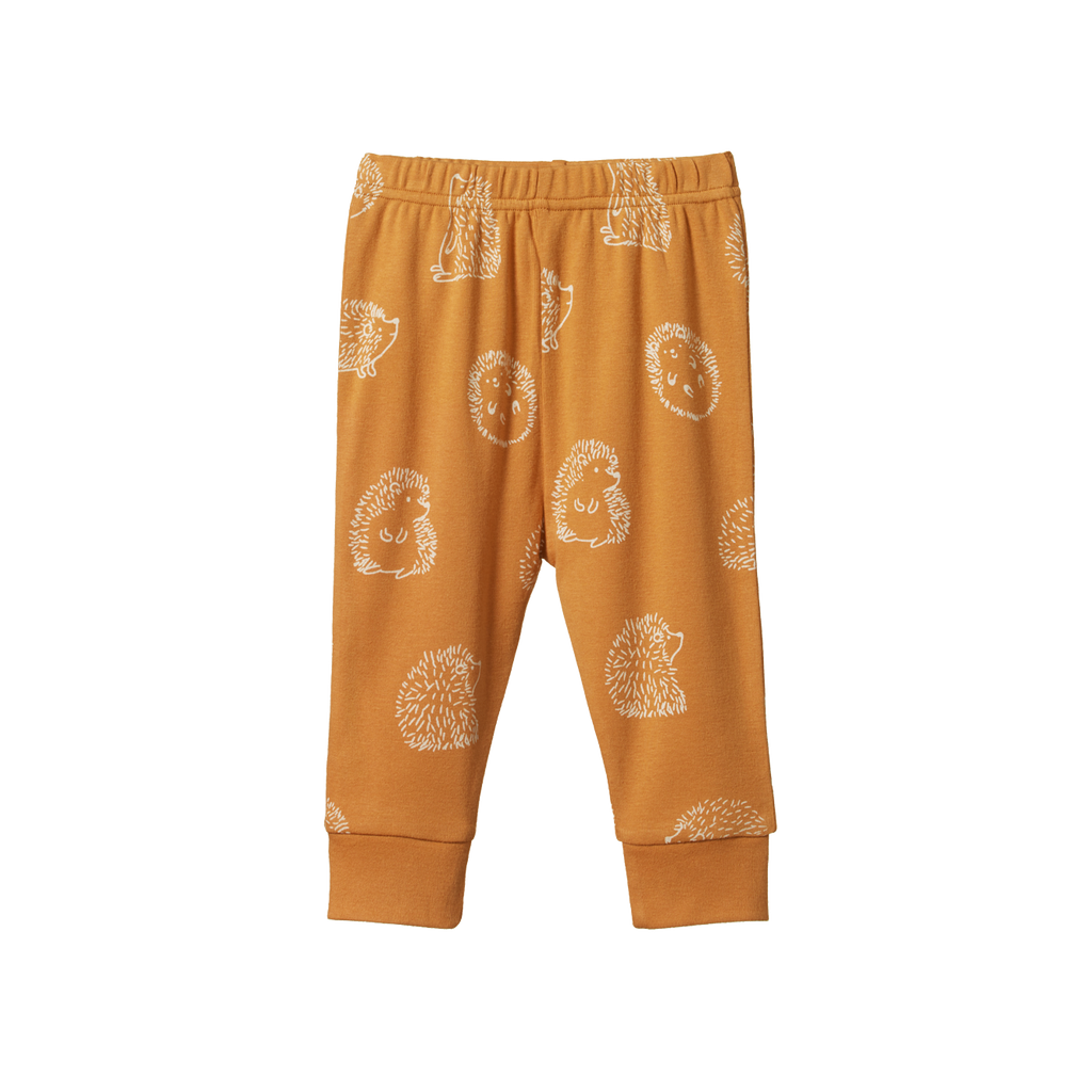 Nature Baby Long Sleeve Pyjamas 2pc - Happy Hedgehog Sleepwear Print
