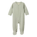 Stretch & Grow - Nettle Pinstripe