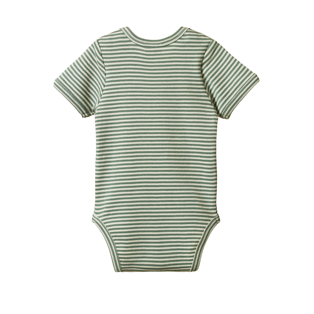 Nature Baby Short Sleeve Bodysuit - Lily Pad Stripe