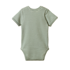 Nature Baby Short Sleeve Bodysuit - Lily Pad Stripe