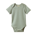 Nature Baby Short Sleeve Bodysuit - Lily Pad Stripe