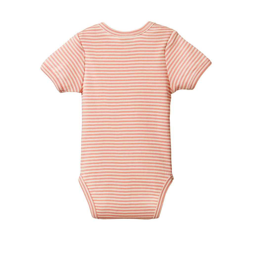 Nature Baby Short Sleeve Bodysuit - Peony Stripe