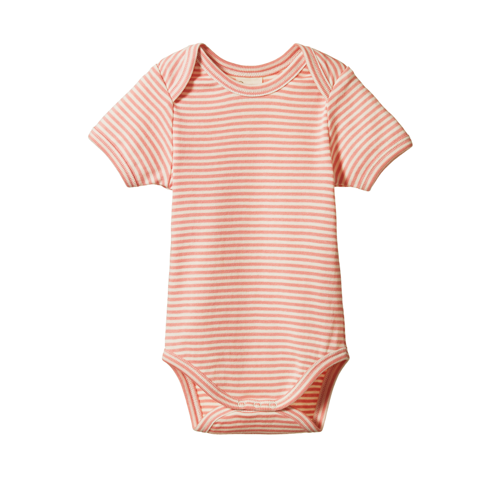 Nature Baby Short Sleeve Bodysuit - Peony Stripe