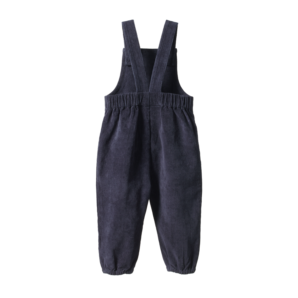 Nature Baby Tipper Overalls - Navy
