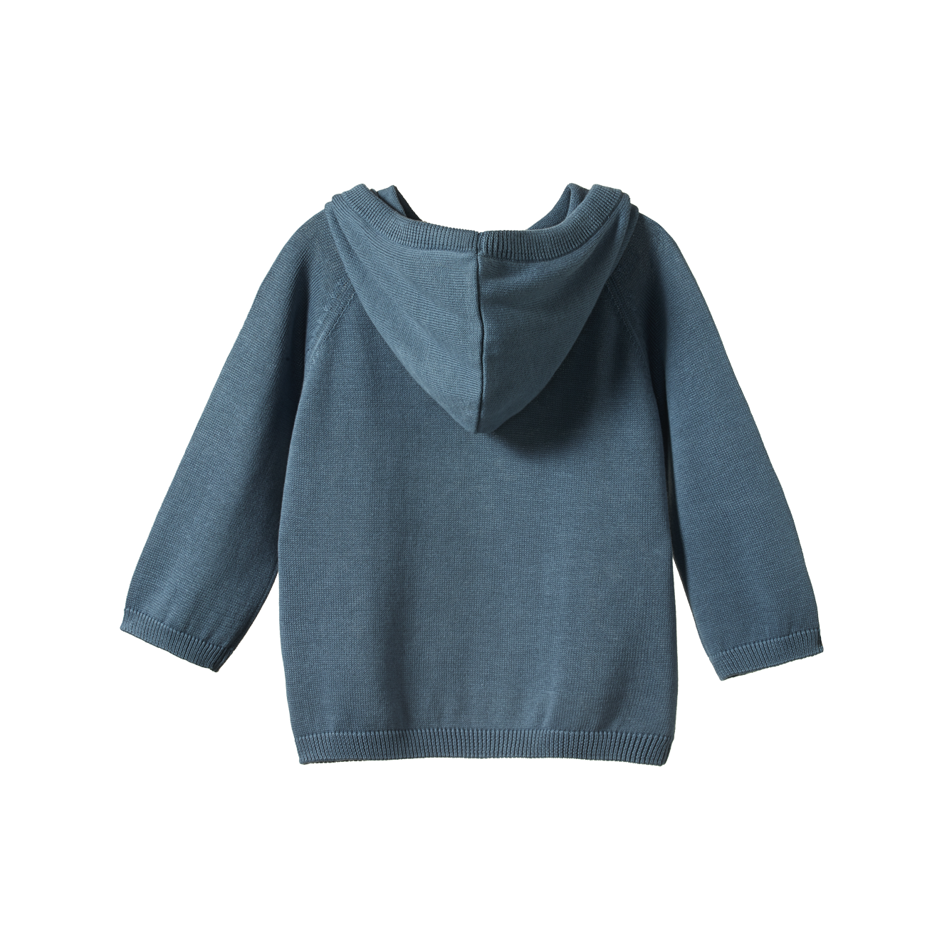 Nature Baby Oak Hoodie - Sky Blue