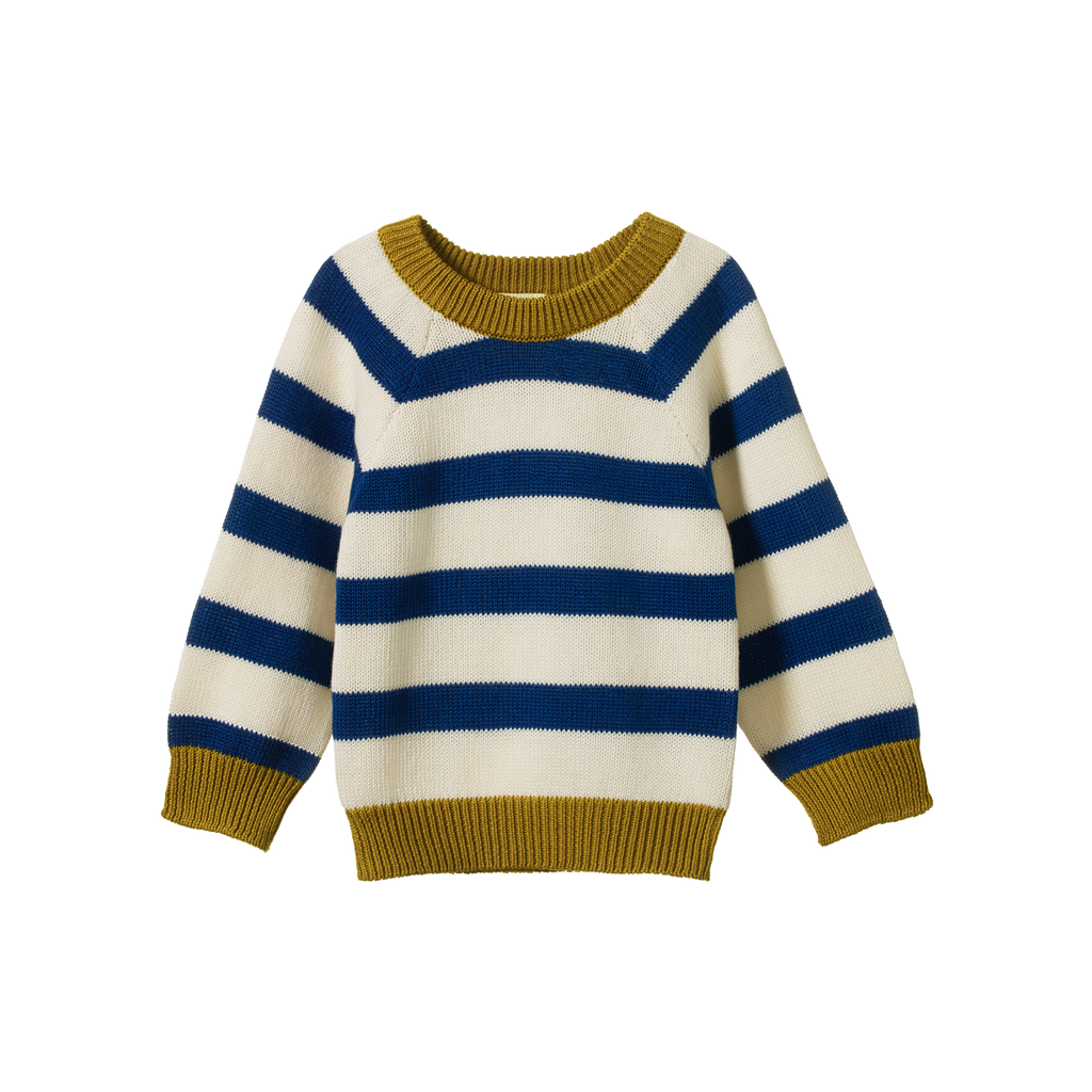 Nature Baby Billy Jumper - Marine Blue Stripe