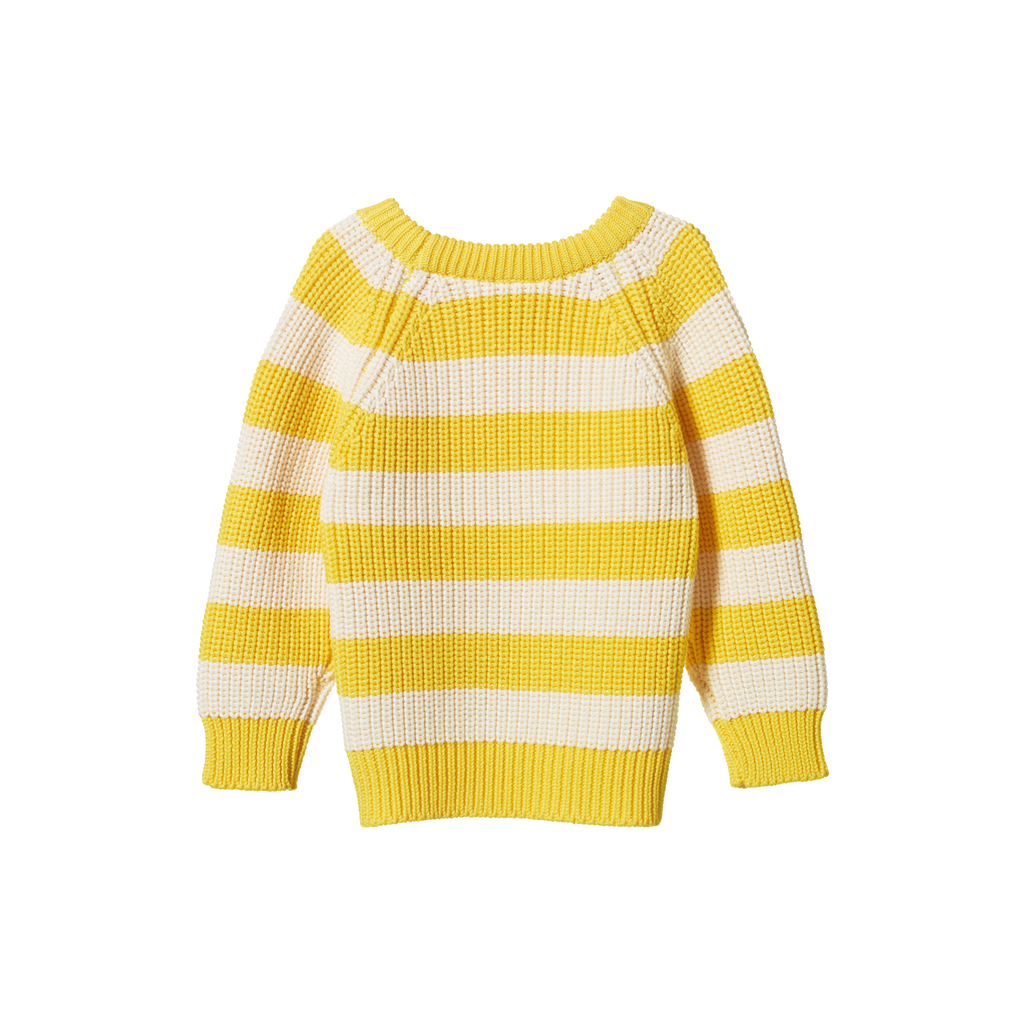 Nature Baby Billy Jumper - Bold Sunny Stripe Chunky Knit