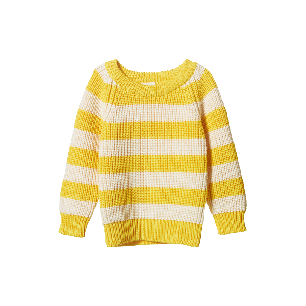Nature Baby Billy Jumper - Bold Sunny Stripe Chunky Knit