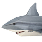 Create Your Own Snappy Shark