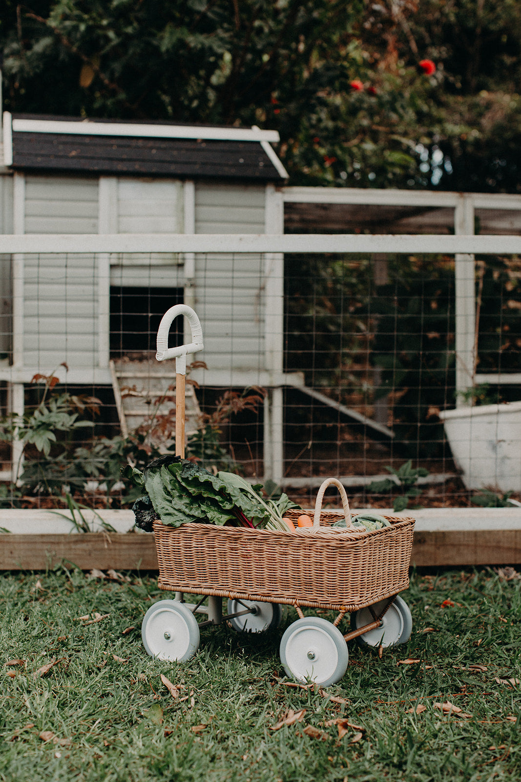Rattan Wonder Wagon - Natural