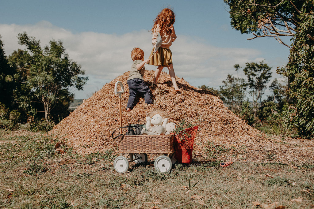 Rattan Wonder Wagon - Natural