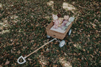 Rattan Wonder Wagon - Natural