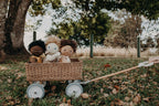 Rattan Wonder Wagon - Natural