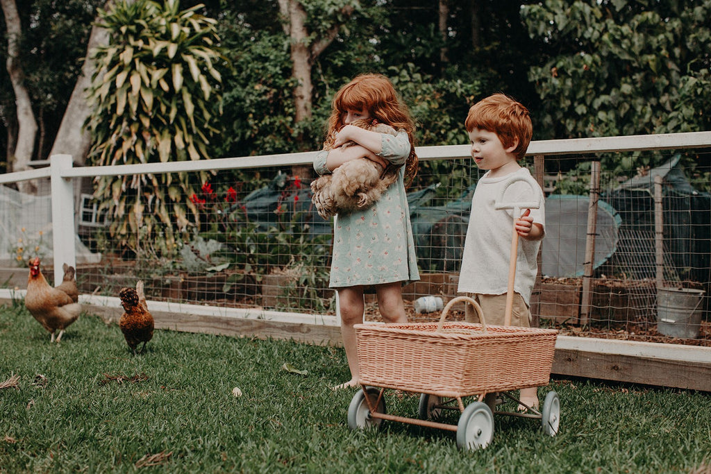 Rattan Wonder Wagon - Rose