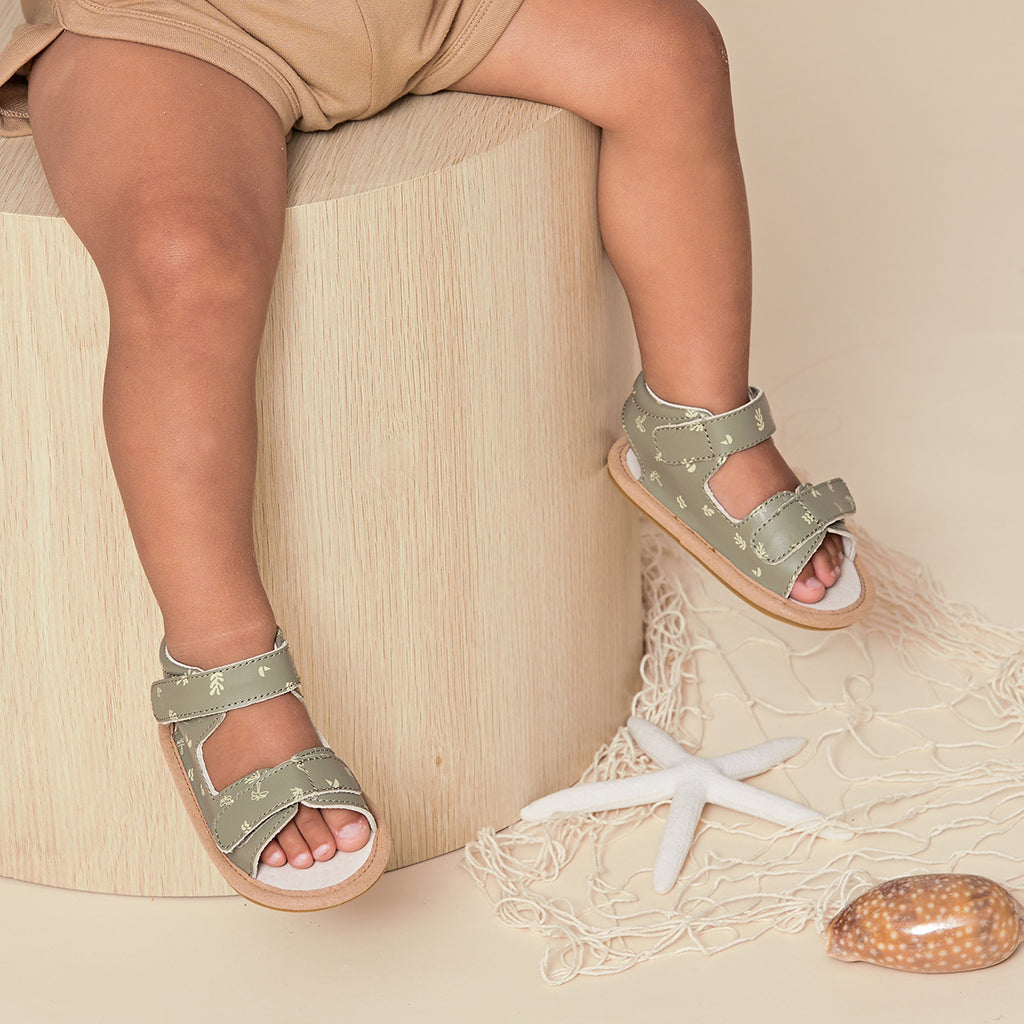 Baby Wilder - Reef