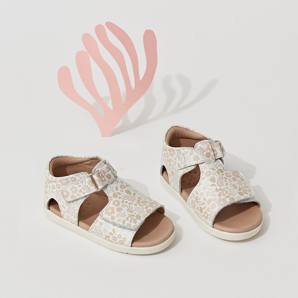 Bailey - Coral Garden