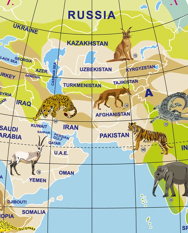 World Globe - Animal Planet - 42cm