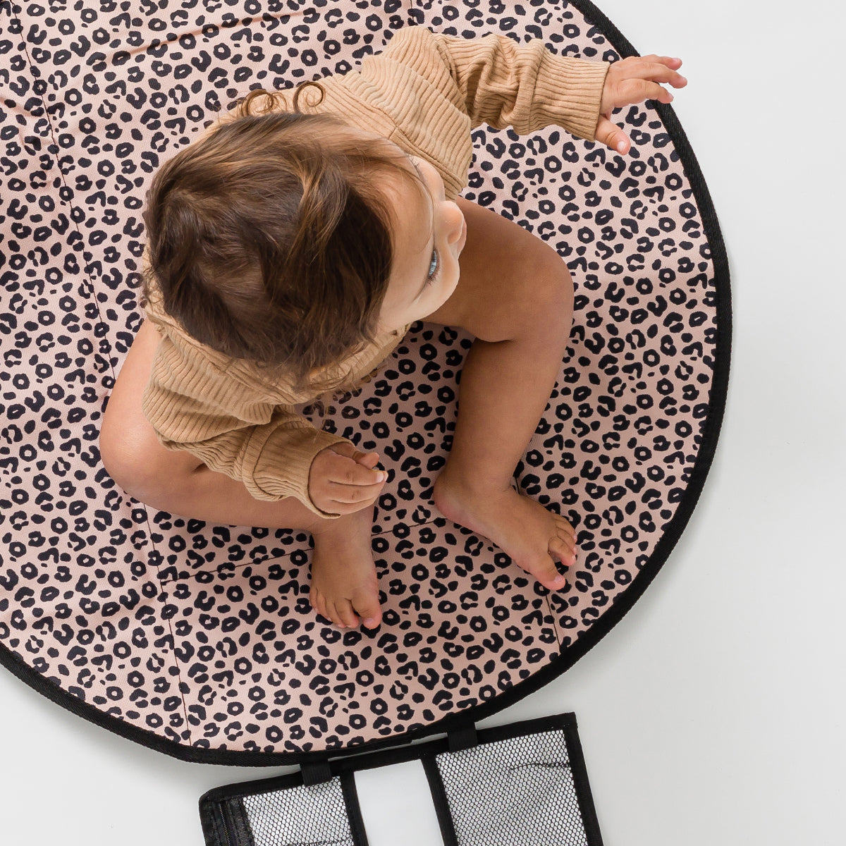 Roundabout - Leopard