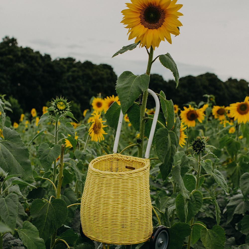 Olli Ella Rattan Luggy Basket - Lemon