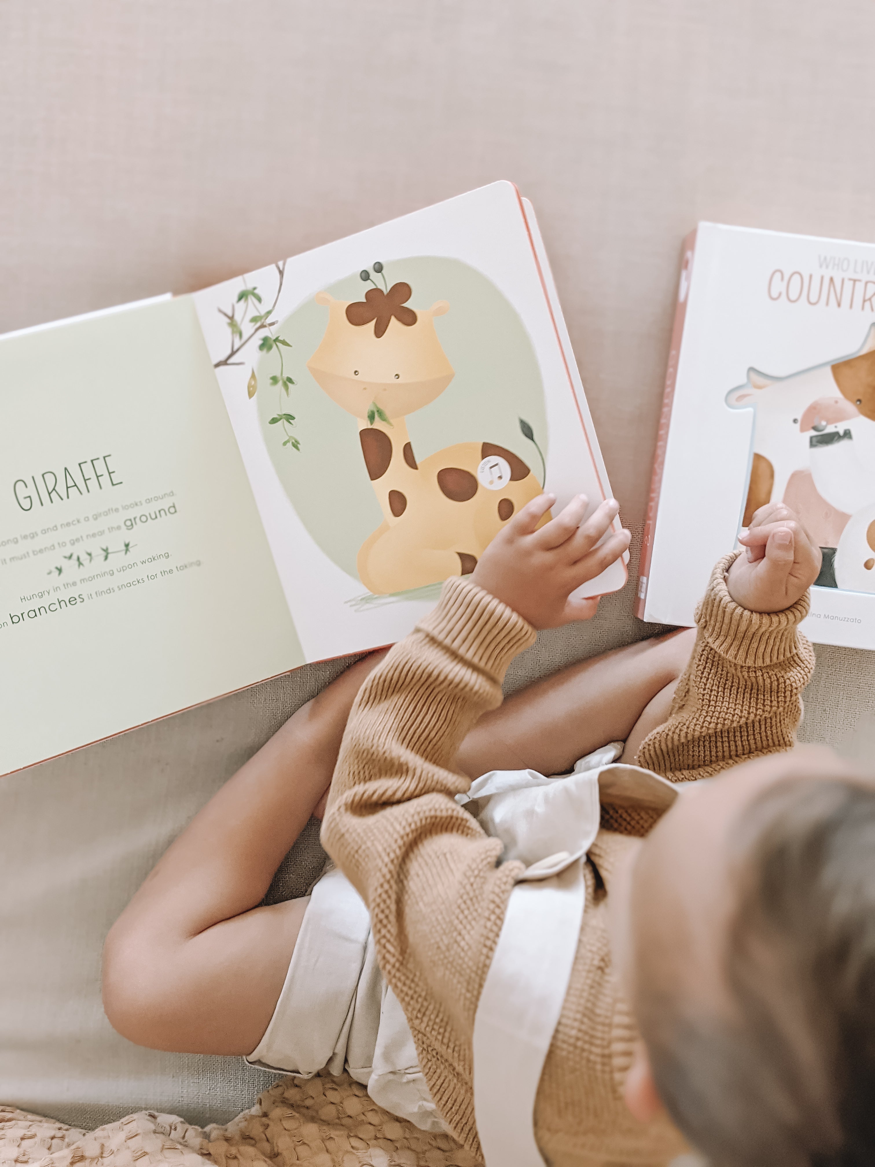 Who Lives in the Savannah Sound Book Junior