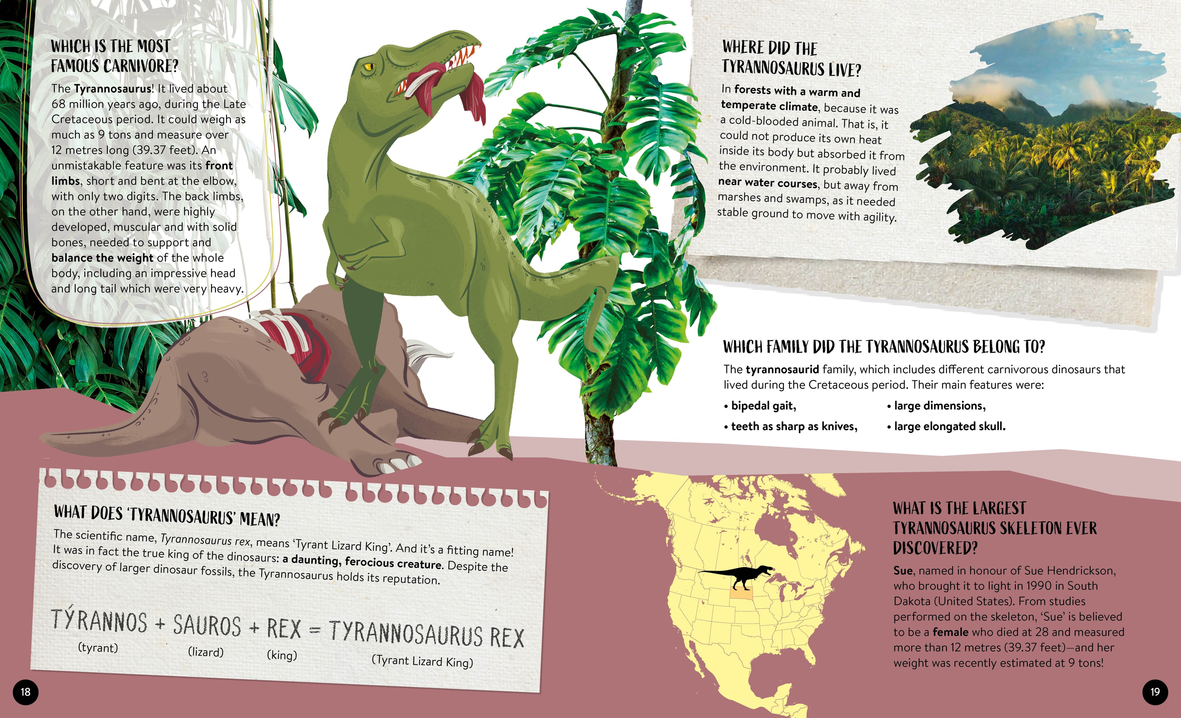 What How Why Dinosaurs Book and Poster
