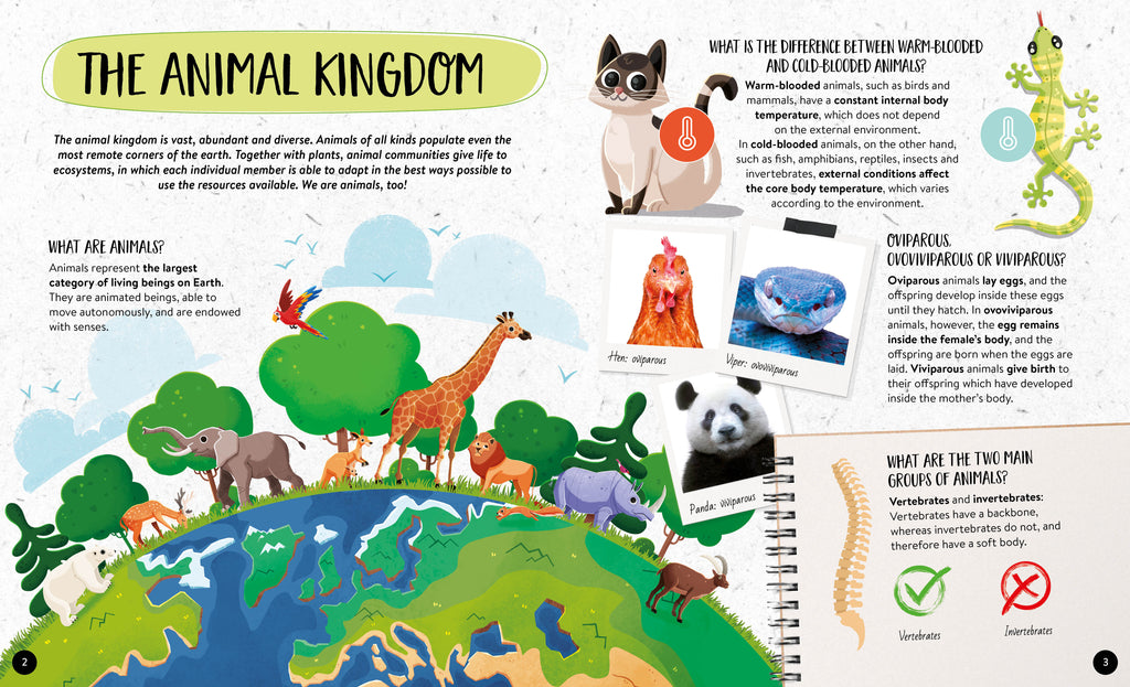 What How Why Animals Book and Poster