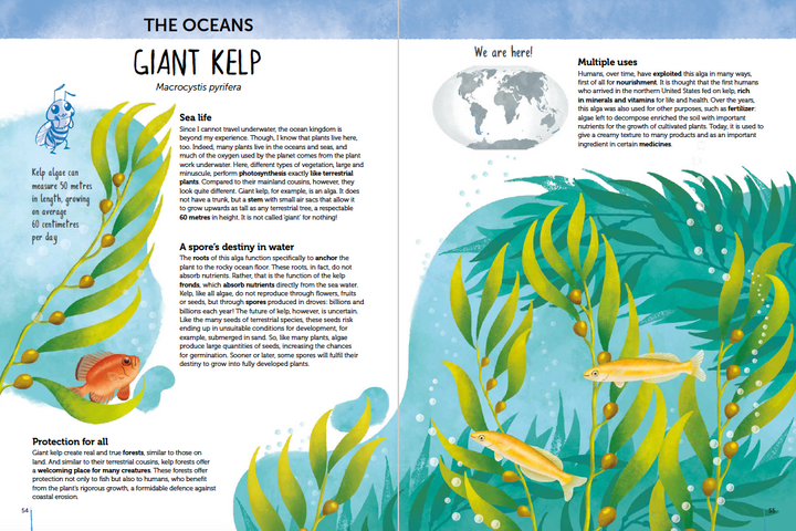 Atlas of Biodiversity - Flora of the World