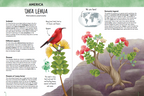 Atlas of Biodiversity - Flora of the World