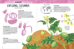 Atlas of Biodiversity - Flora of the World