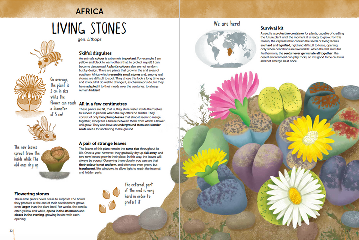 Atlas of Biodiversity - Flora of the World