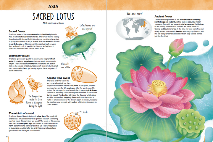 Atlas of Biodiversity - Flora of the World