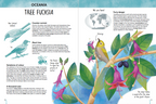 Atlas of Biodiversity - Flora of the World