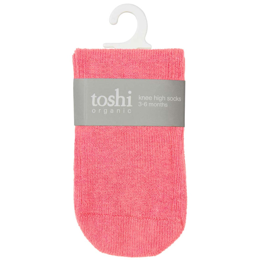 Toshi Organic Knee Dreamtime Socks - Fuschia