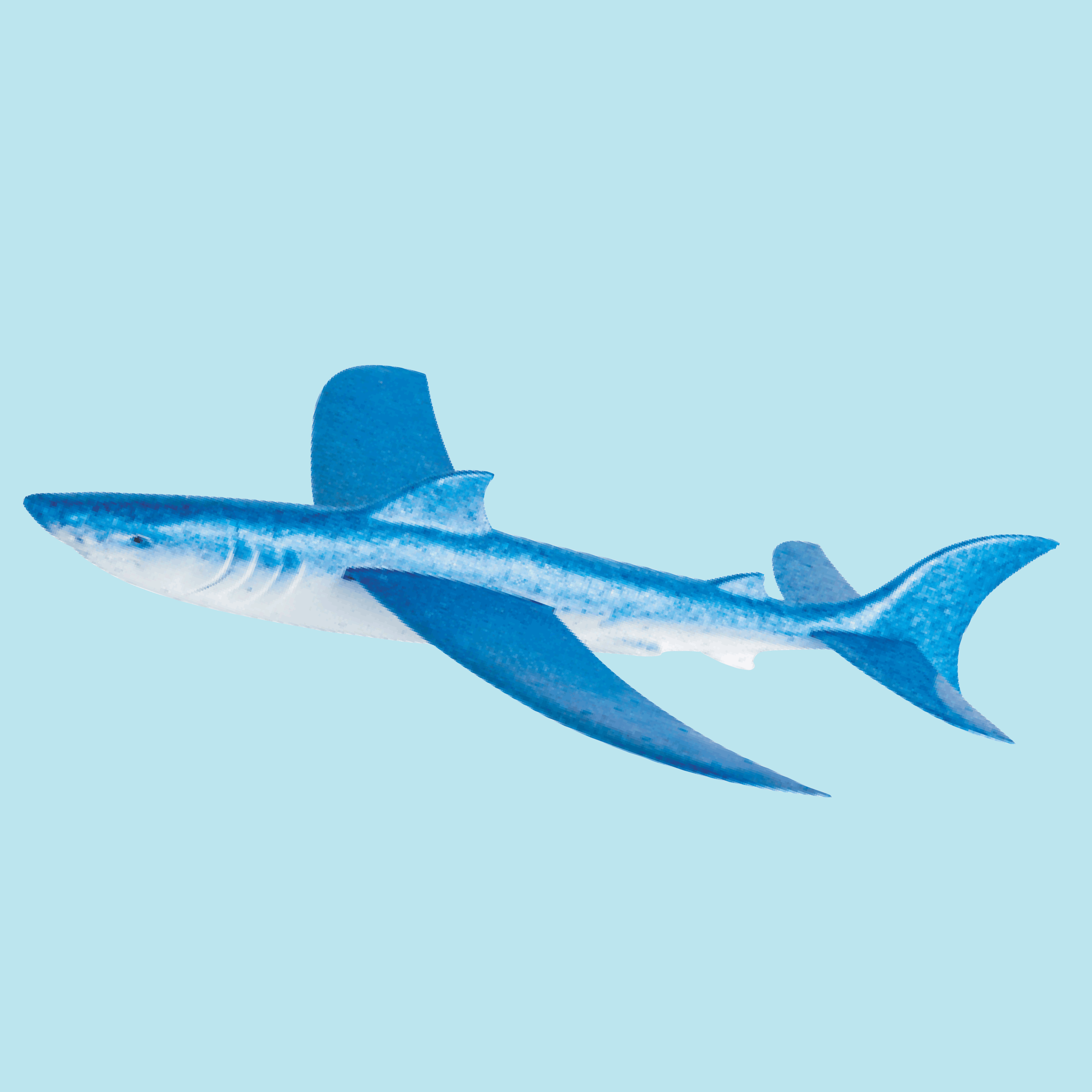 Flying Shark Glider
