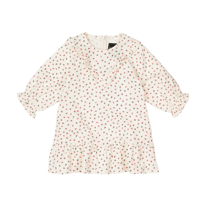 Rock Your Baby Strawberries Dress